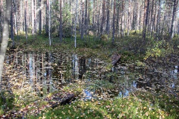 sekä Majaniemi 3,5.