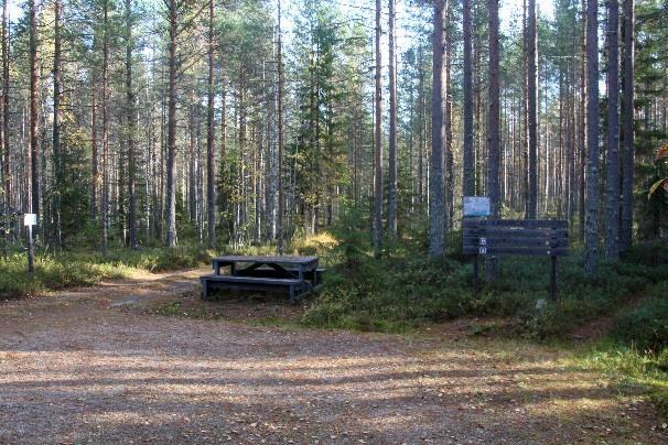 Teretti 5,5  Polku jatkuu suoraan tien yli, jossa on märän