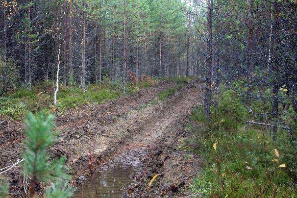 kääntyy vasemmalle.