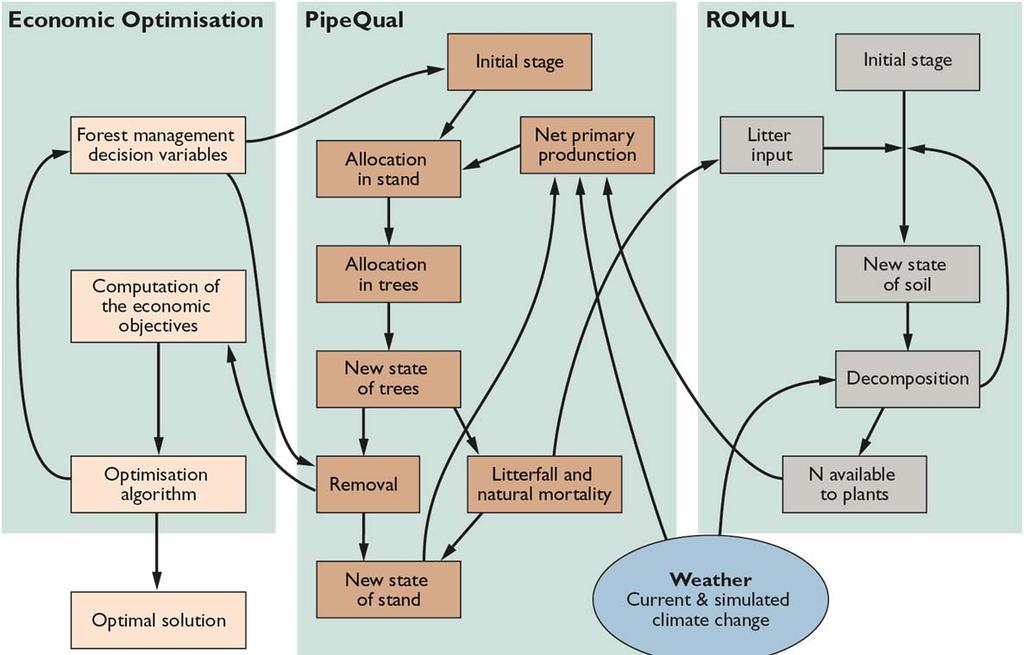 Economic optimization integrated with dynamic process based forest stand simulation models Conclusions In the changing climate, biomass production