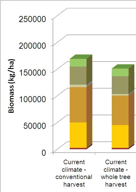 on vegetation and soil carbon stock