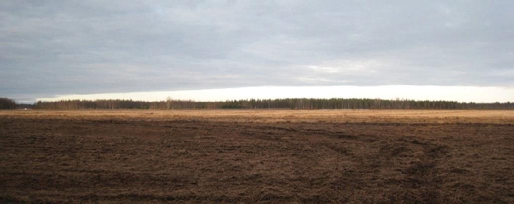 vasemmalta puolelta. Etäisyyden määrittely perustuu lintujen havaitsemiseen paljain silmin tai 10x suurentavien kiikarien avulla.