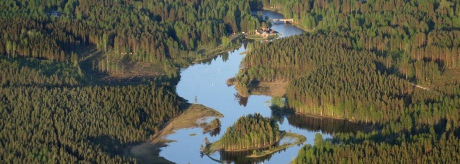 Suhteemme metsään on muuntautunut ajassa, mutta metsä on edelleen monen mielipaikka, elanto tai henkireikä. Möhkön ruukkipäivä 15.7.