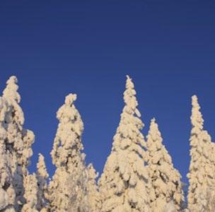 Leppoisa syyskesän tapahtuma hyvän ruuan ja hämärtyvään iltaan syttyvien tunnelmallisten valojen loisteessa.