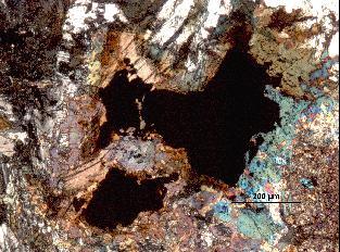 10a. Pyroxene, uralite and mica; Ilmenite rimmed by biotite and uralite (R398/57,5m). Kuva 10b.