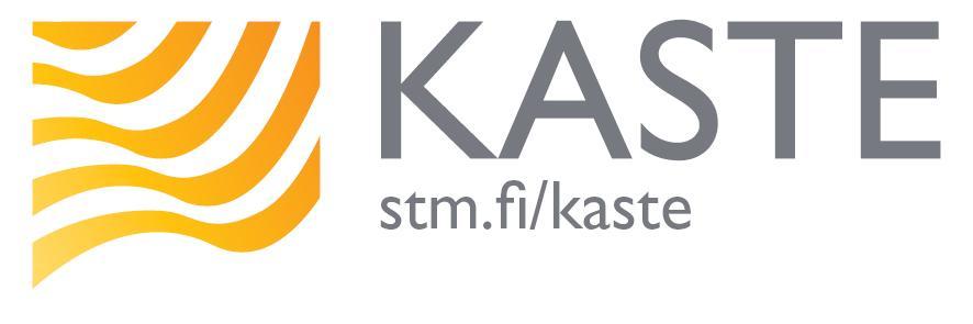 MUISTIO 1 (6) Väli-Suomen Kaste-aluejohtoryhmä MINISEMINAARI: HANKKEIDEN HELMIÄ JA MUITA KOKEMUKSIA Aika: torstai 12.11.2013 klo 12.00 16.