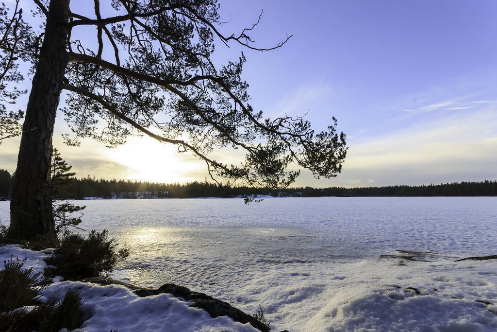 3. TERVEYSPALVELUT Mitä on kysytty ja mitattu Tässä osiossa on kysytty kuntalaisten mielipiteitä koskien terveyskeskus- ja hammashoitolapalveluita.