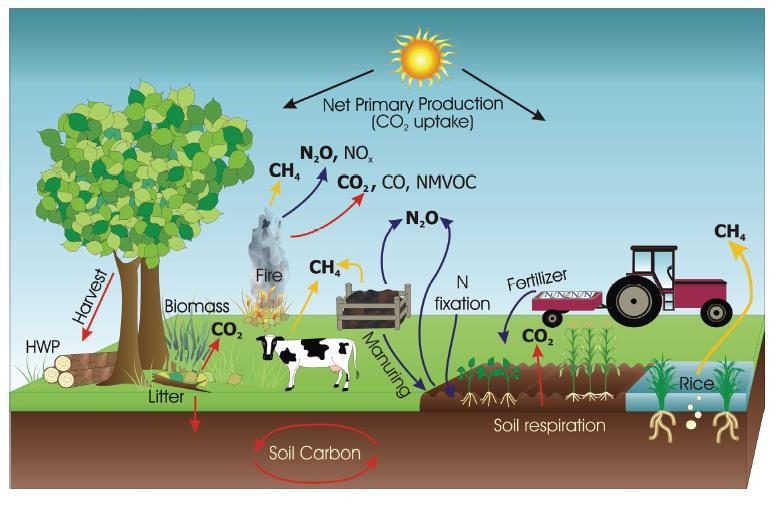Maatalouden päästöt/nielut