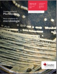 Studies on the magnetic water treatment in new pilot scale drinking water system and in old existing real-life water system, Martti Latva, Jenni