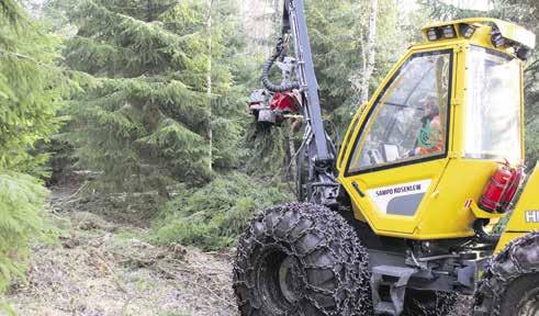 Metsänhoitoyhdistyksen harvennukselta Kuusenhavuista seppeleitä sankarihaudoille itsenäisyyspäivänä Kuusenhavuista tehdyt seppeleet koristivat itsenäisyyspäivänä sankarihautoja ympäri maan, osana