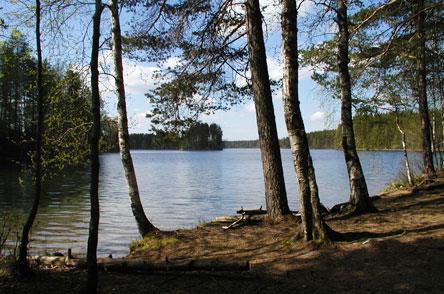 Retken hinta on jäseniltä 20 euroa ja muilta 25 euroa. Maksu sisältää kuljetuksen. Lapset alle 15 v retkeilevät ilmaiseksi. Maksut maksetaan 14.5. mennessä Rinkan tilille FI60 5710 5210 0009 06, viite 1038.