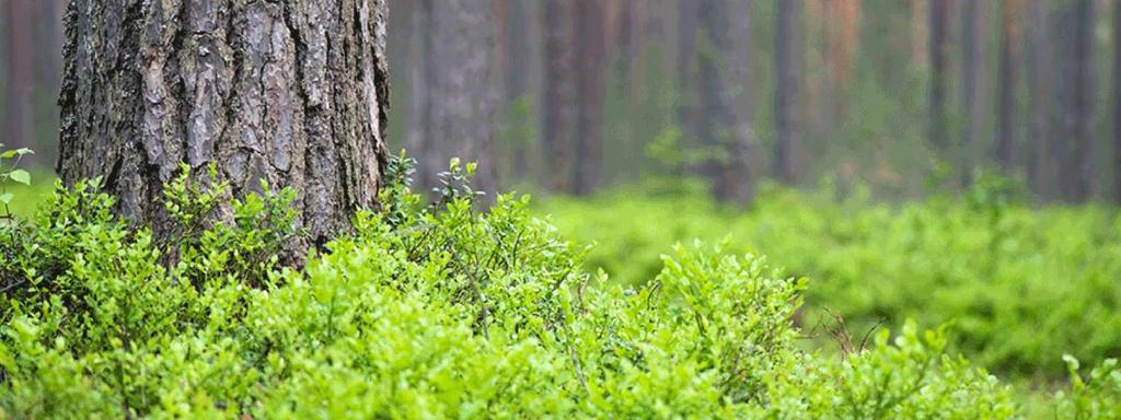 Verovaikutusten optimointi on tärkeää, mutta ei voi, eikä saa olla ainut autuaaksitekevä asia Selvitetään