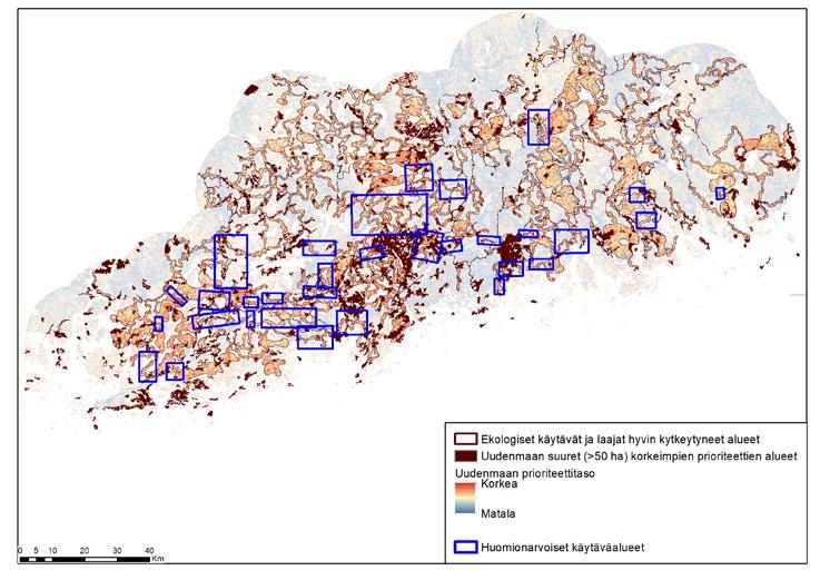 3.2.2.2. Huomionarvoisia yhteyksiä Jotkin ekologiset yhteydet tai yhteysryppäät erottuvat tarkemmassa tarkastelussa muista. Ne saattavat esimerkiksi yhdistää kappaleessa 3.1.