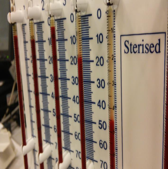 30 Tunnin kuluttua sekuntikellon käynnistämisestä tulokset luettiin pipetin kyljissä olevista asteikoista (kuva 5) ja kirjattiin Excel -taulukkoon analysaattorin antaman tuloksen viereen.