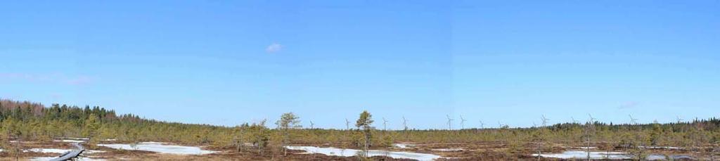Myös tien itä- ja länsipuoleisilta peltoaukeilta Minkiön asemalta, Latovainiosta ja Kukkapäästä voi näkymiä syntyä hankealueen suuntaan.