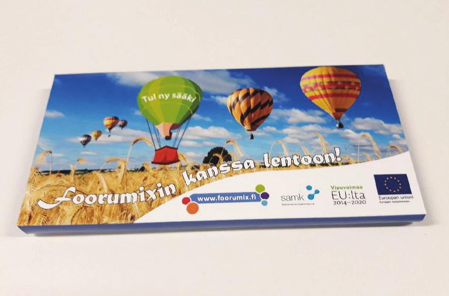 Itseluottamuksella ja vertaisvoimalla uudistuksiin Aurinkoinen marraskuun päivä oli foorumixlaisille yhtä juhlaa kokoontuessamme viettämään hankkeen