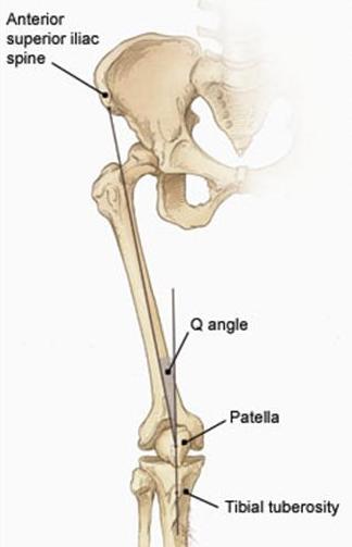 Spina iliaca anterior superiorin ja patellan keskipisteen sekä patellan keskipisteen ja sääriluun tuberculumin välistä kulmaa sanotaan Q-kulmaksi (Kuva 2).
