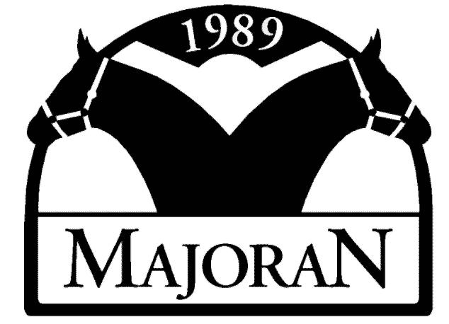 Ratsastusseura Majoran ry Perustettu 1989 Kotipaikka Espoo TOIMINTAKERTOMUS VUODELTA 2011 Johdanto Seuran perusajatus on pysynyt perustamisesta, vuodesta 1989 alkaen samana: tavoitteena on tarjota