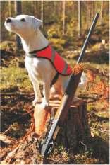 LADY SINGIN FIN MVA CAMERON VAN 'T GEYSTERSVELD XANTIPPA KIRI V.D. ELSHOF FARM WILLOWALL ANGUS TERRIER TURF CALYPSO KYLINI LEGEND IT'S ME NUMBER NINE GOOFY V.