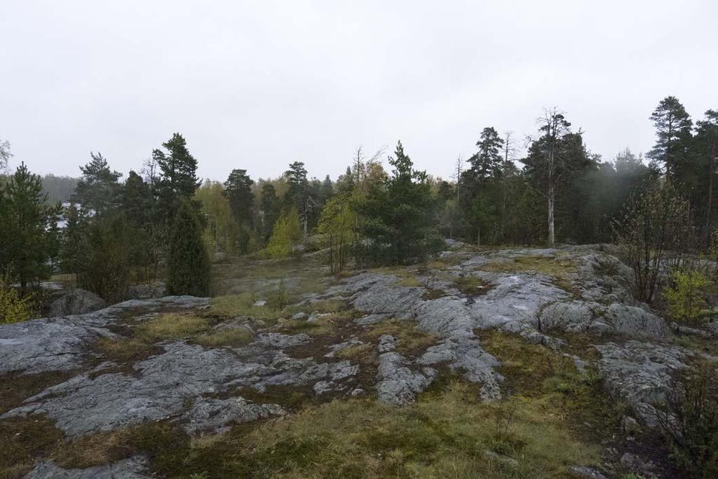 YMPÄRISTÖ Pilariperusteista rakennusta tehtäessä tontin nykyiset maastonmuodot ja maaperä voidaan säilyttää mahdollisimman ennallaan joka taas edelleen helpottaa hulevesien hallintaa.