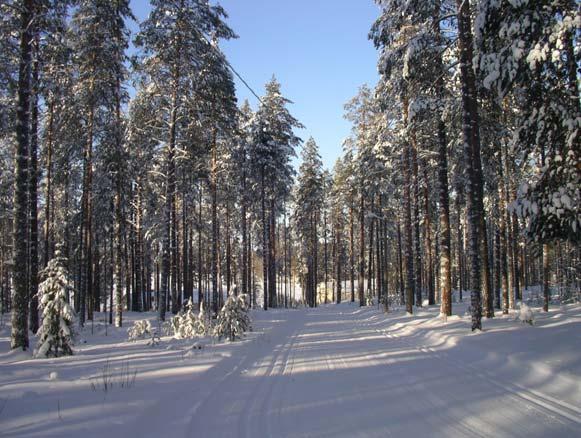 Jämäksen alueen hoito-