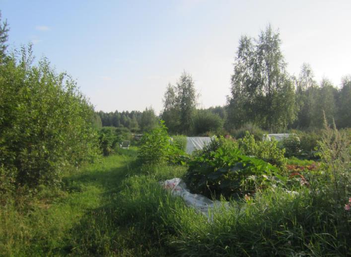 SELVITYKSET Luontoselvitys Liito-oravaselvitys Meluselvitys Tärinäselvitys Kaupallinen