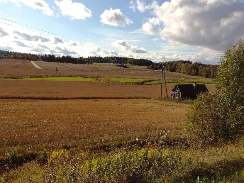 Haja-asutuksen jätevesineuvonta