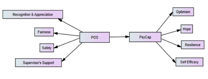 capacities (i.e. Hope, Optimism, Resilience and Self- efficacy etc.) of PsyCap are open to development, manageable and also measurable. Snyder et al.