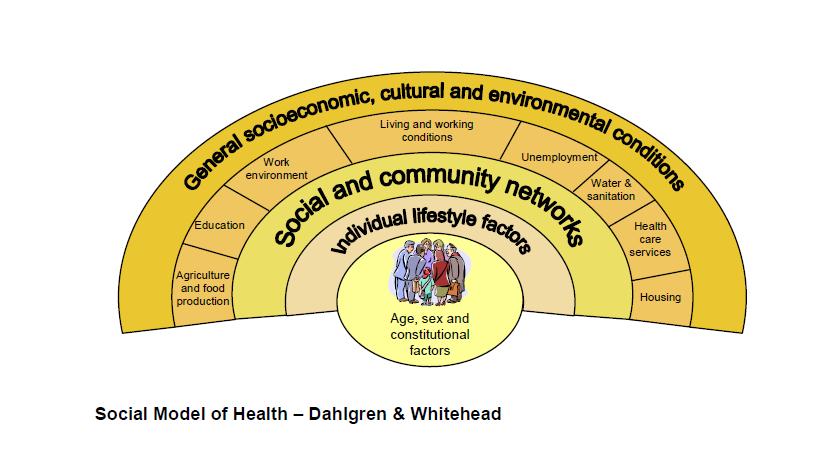 Dahlgren and Whitehead (1991) talk of the layers of influence on health.