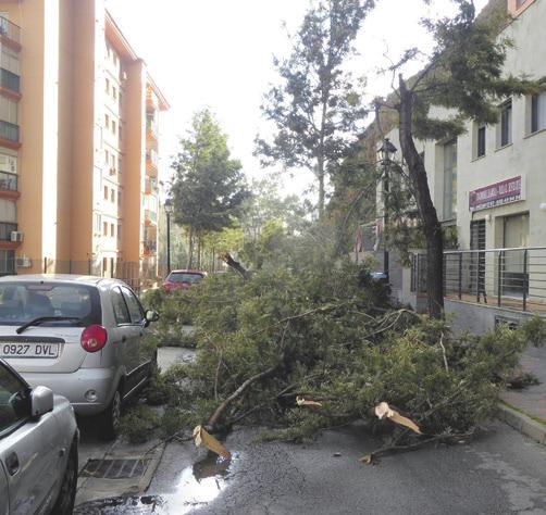 Fuengirola.fi Uutiset Perjantai 2.2.2018 3 Sunnuntain myrsky aiheutti satamäärin vahinkoja Sunnuntaina 28.