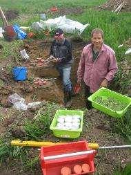 [Arvidsson (2001) Soil & Tillage Research 60, 67-78] Neljä rinnakkaista lohkoa