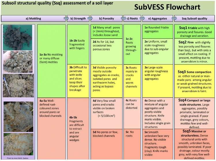 Visual evaluation of soil structure for subsoils