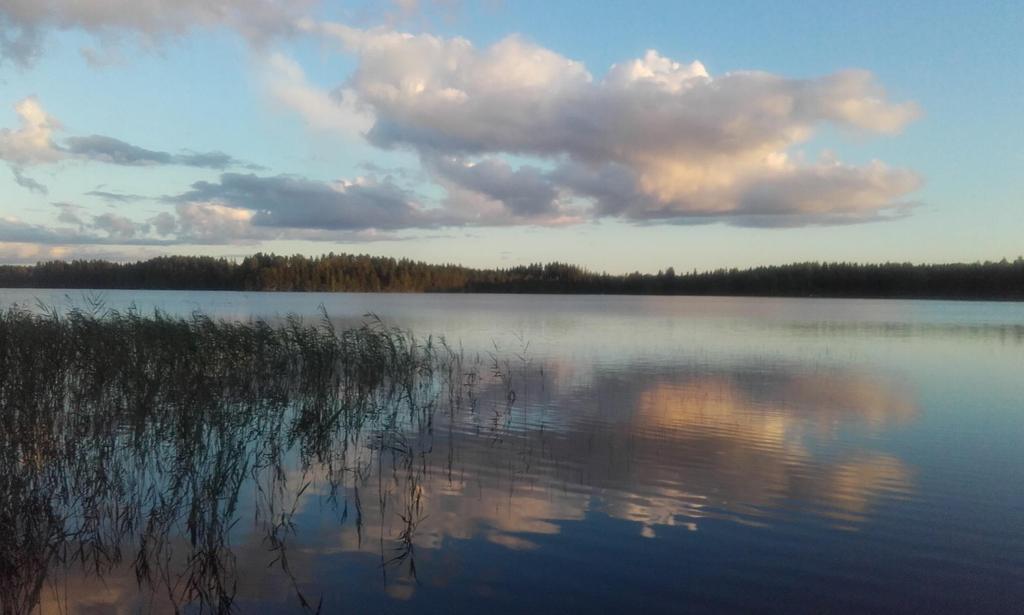 MERKITYKSELLINEN ELÄMÄ - IKÄÄNTYMISEN VIISAUS