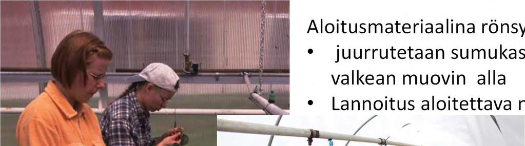 Aloitusmateriaalina