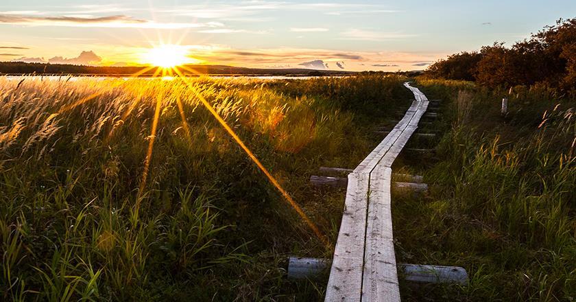 Hyvää matkaa! Seuraava vaihtoinfo 15