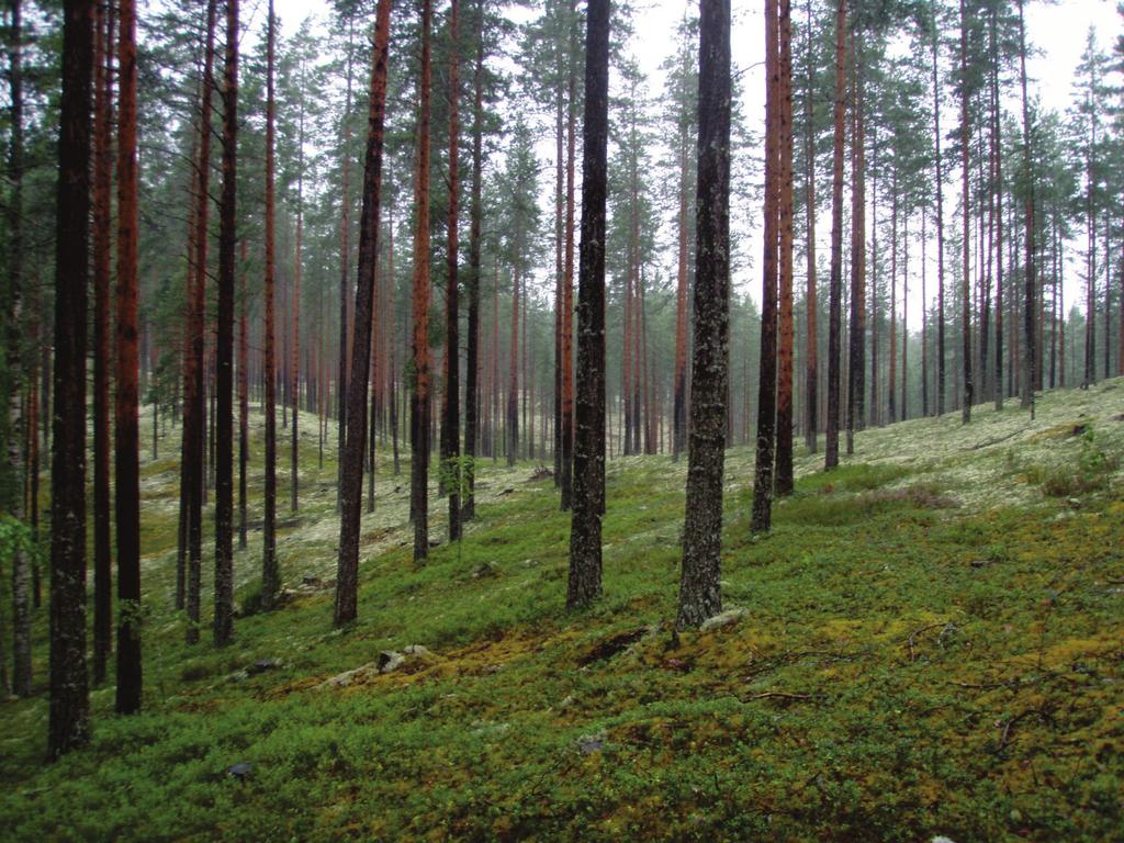 Fingrid Oyj:n Keski-Suomi Oulujoki 400 kv voimajohtohanke Natura-tarvearviointi Rokuan Natura 2000