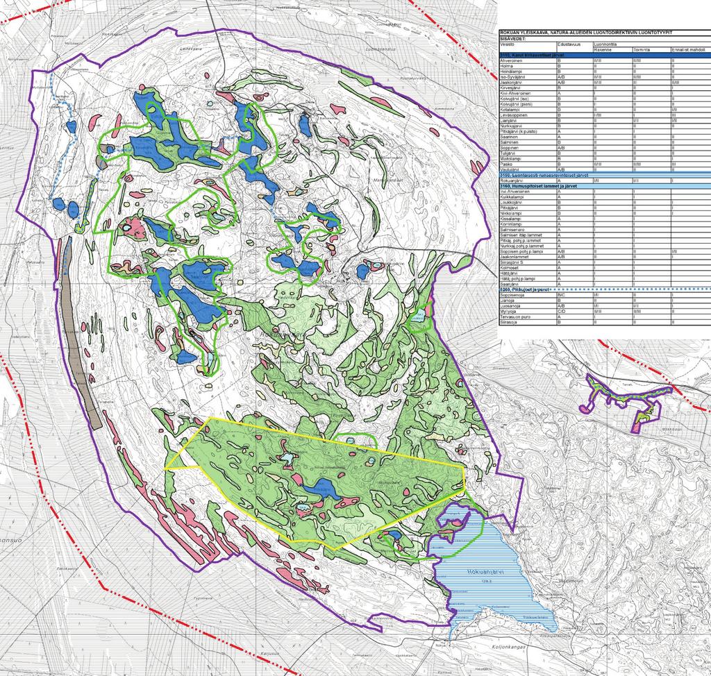 Keski-Suomi Oulujoki 400 kv voimajohtohanke Rokuan Natura-tarvearviointi 18.11.