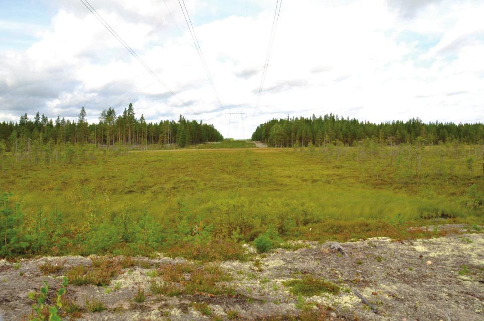 Keski-Suomi Oulujoki 400 kv voimajohtohanke Rokuan Natura-tarvearviointi 18.11.