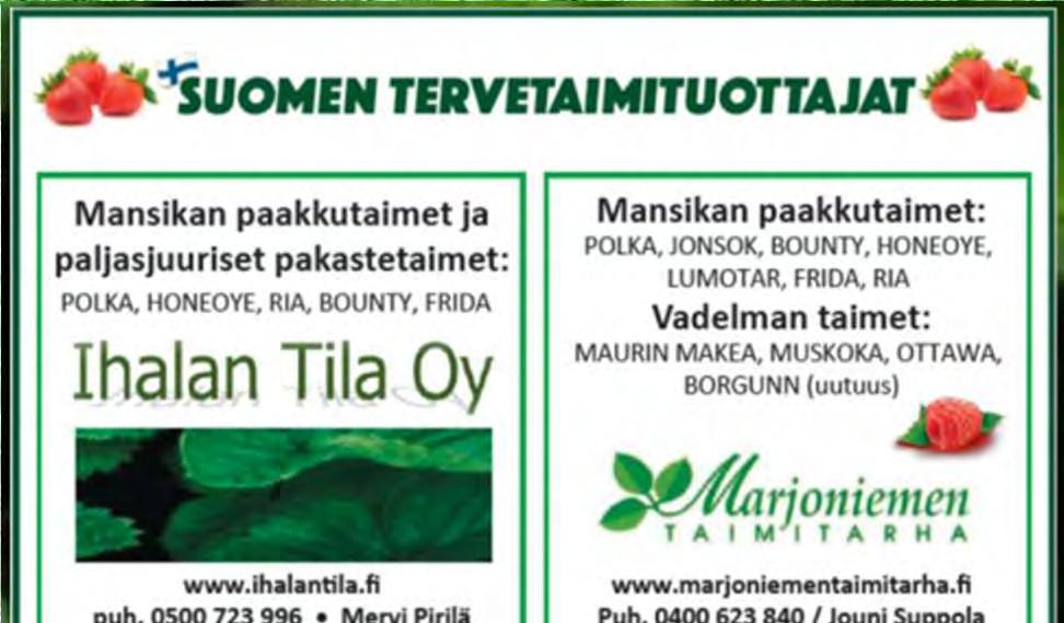 Taimituotanto Varmennettu taimituotanto taimettuotetaan varmennetun tuotantomenettelyn mukaisesti kasvintuhoojista puhdas ja lajikeaito taimiaineisto