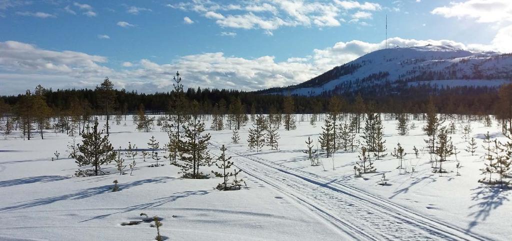 Kuvapari 7.1 & 7.2. Vitsa-aavan suoalueen pohjoisosasta katsottuna uudet rakennukset jäävät tunturin taakse. 5.4.