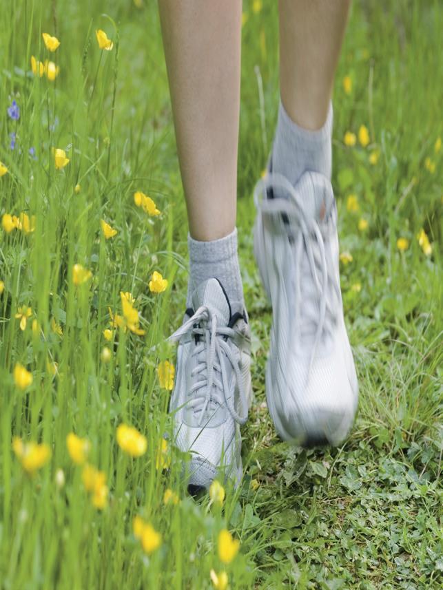 MAKSUTONTA LIIKUNTANEUVONTAA tyypin 2 diabeetikoille ja raskausdiabeetikoille Liikuntaneuvojat kuuluvat diabeteksen hoidon moniammatillisiin tiimeihin ja ovat osana hoitoketjua ja terveysasemien