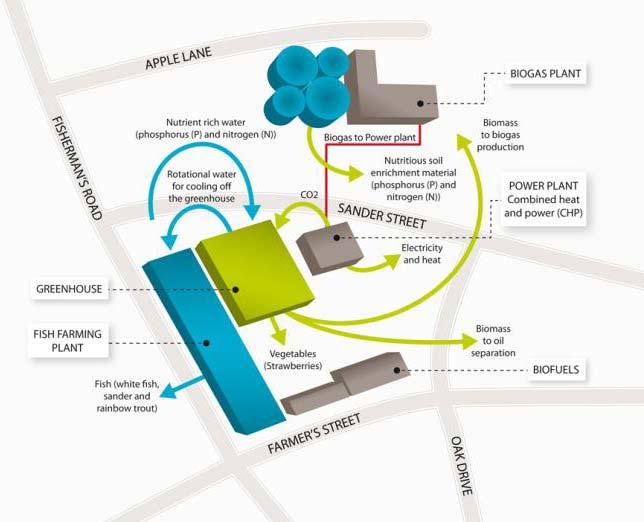 Esimerkki paikallista ainekiertoa tehostavasta biotaloushybridistä Biokaasulaitos hyödyntää paikallisen kasvihuoneen ja kalankasvattamon jätteitä sekä muita jätteitä tuottaakseen paikallista lämpöä