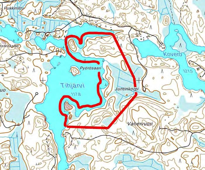 Kuivempaa kangasmetsäkasvillisuutta Piirteitä rämeestä ja kangasmetsäkasvillisuudesta