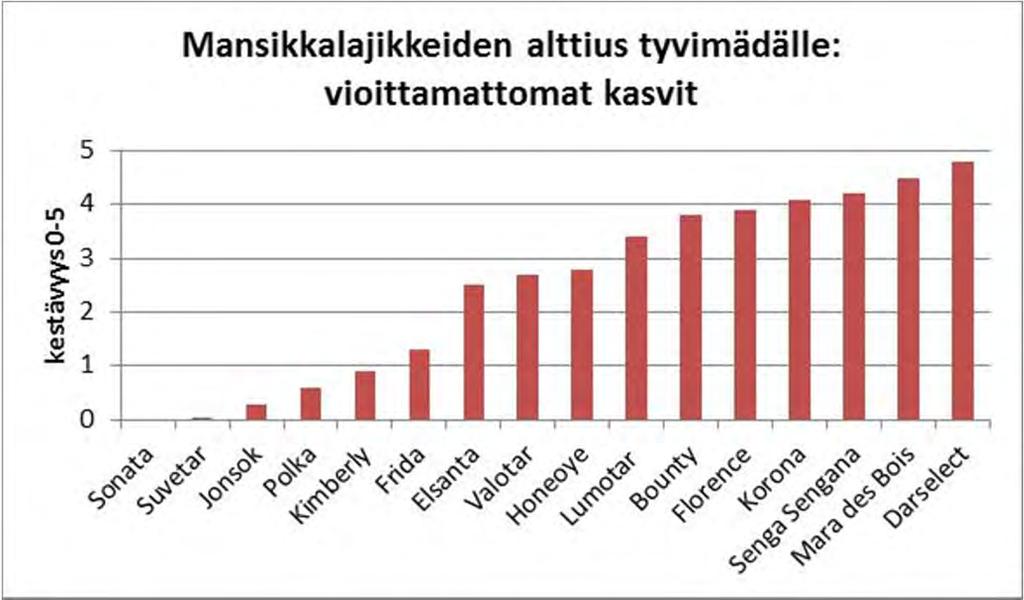 13 Päivi