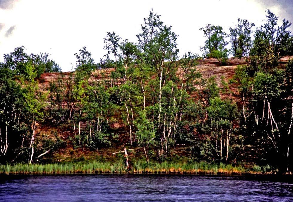 Mauri Timonen Näkymä Pulmankijärven lammelta (2007) Suomen pohjoisimman ison järven, Pulmankijärven, viereisen pikku lammen rannalla ei näy merkkiäkään