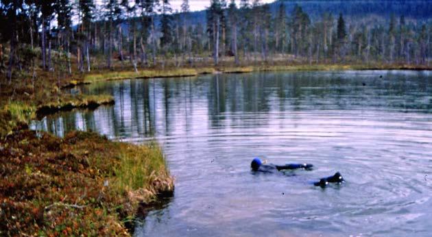 Kun jalka osuu kovaan kohteeseen, voi kyseessä olla muinainen puunrunko. Lähempi tunnustelu paljastaa, onko syytä ryhtyä jatkotoimenpiteisiin rungon nostamiseksi.