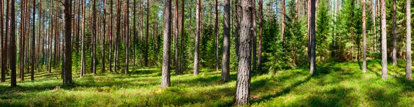 2 Vallox on edelläkävijä ilmanvaihdon energiatehokkuuden kehittämisessä.