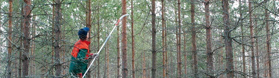 3 Metsien hoito Vuoden 2011 metsänuudistamisala oli ennätyksellisen pieni. Ala supistui jo neljättä vuotta peräkkäin pienentyen edellisvuodesta 11 prosenttia 118 000 hehtaariin.