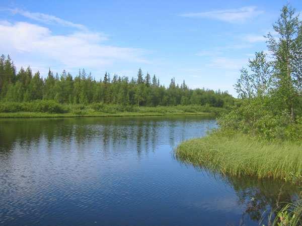 Sattasen jokilaakso Sattasen jokilaakso on pitkä ja vaihteleva alue. Sattasjoki on meanderoiva, matala joki jossa on paikoitellen koskia.
