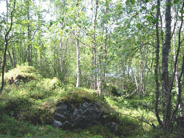 luonnonmukaisessa tilassa.